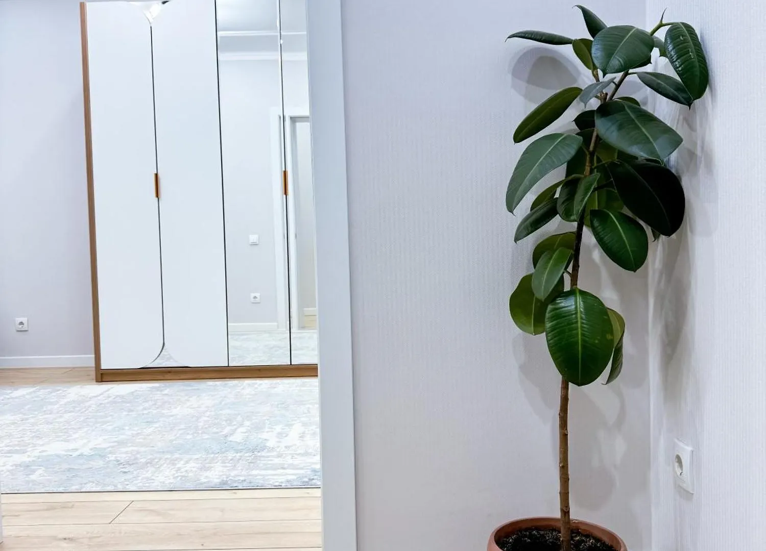 Жк Nest Grand -2 Rooms Almaty Kazakhstan